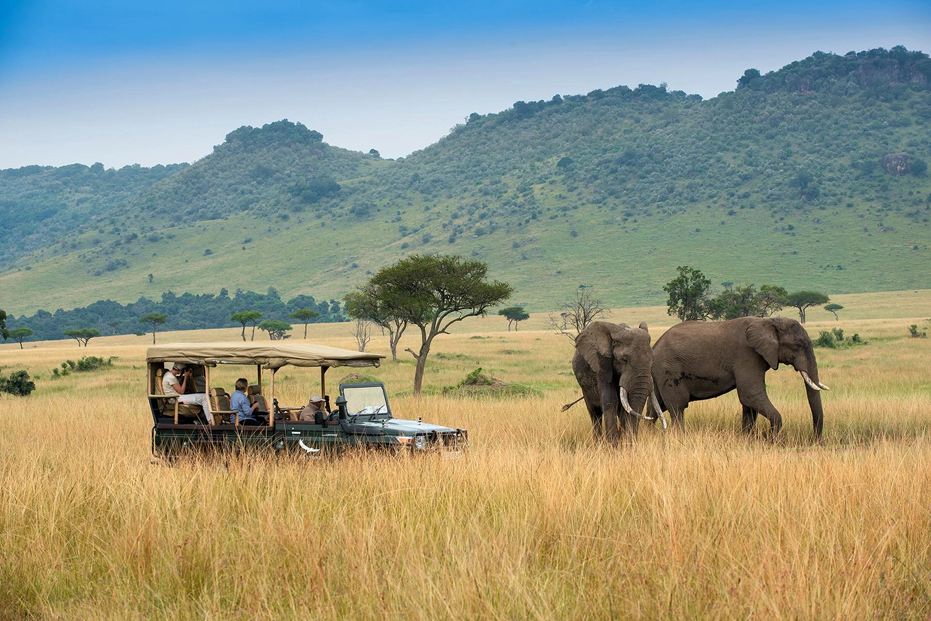 Safaris